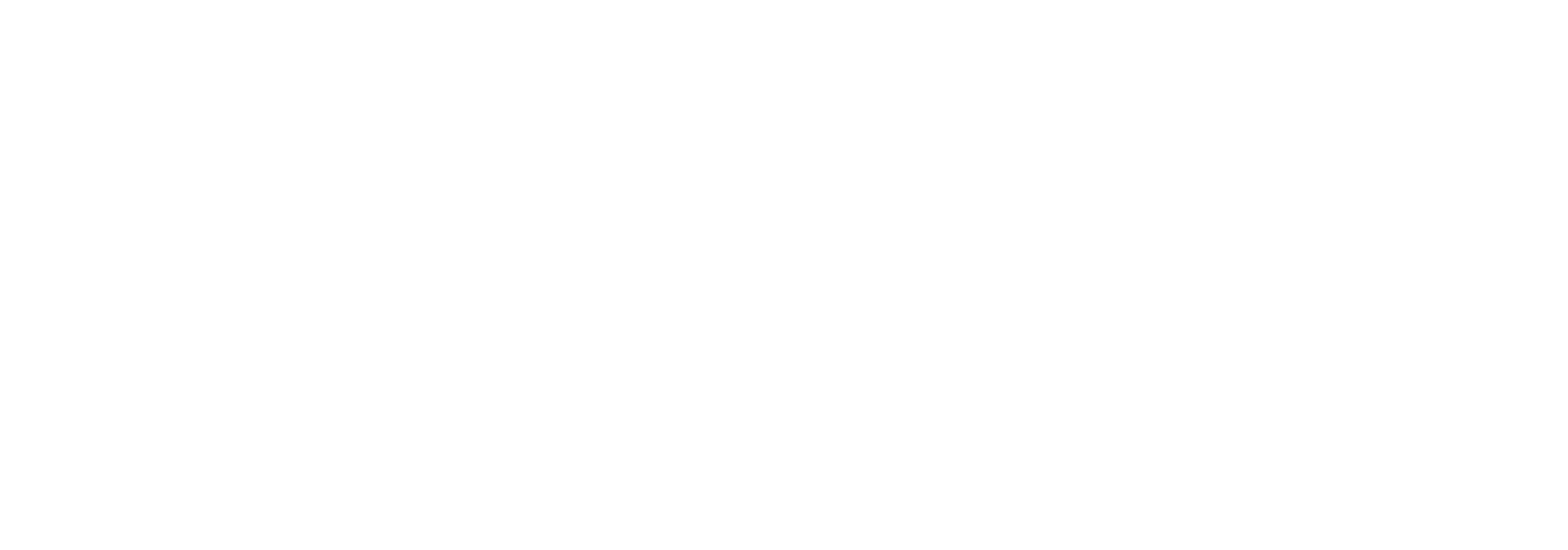 Logo Turinavini